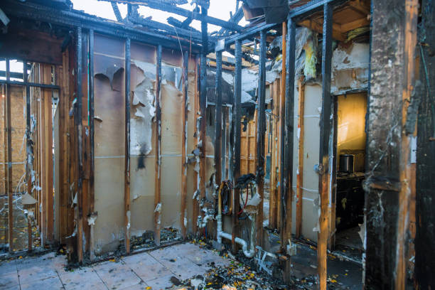 Professional Fire Damage Repair technician working in Chisago City, MN